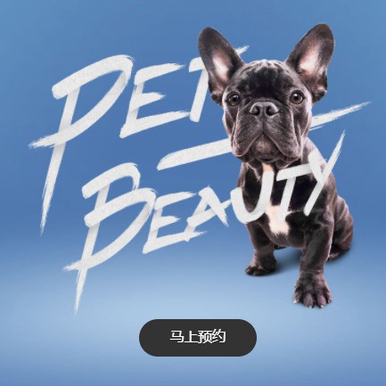 凯里宠物中心小程序